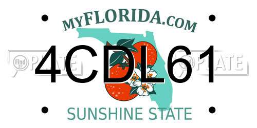 4CDL61 Florida License Plate