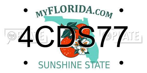 4CDS77 Florida License Plate