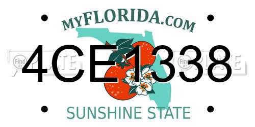 4CE1338 Florida License Plate