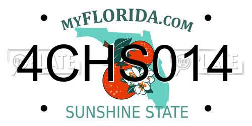 4CHS014 Florida License Plate