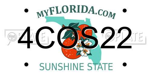 4COS22 Florida License Plate