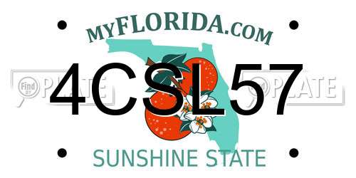 4CSL57 Florida License Plate