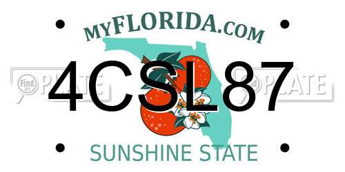 4CSL87 Florida License Plate
