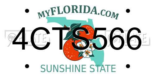 4CTS566 Florida License Plate