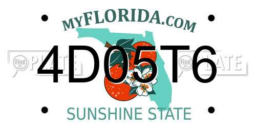 4D05T6 Florida License Plate