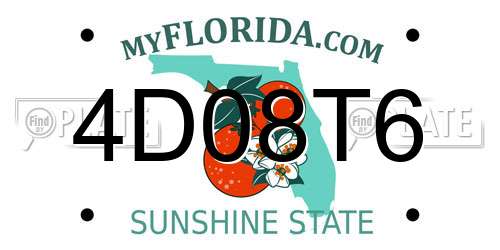 4D08T6 Florida License Plate