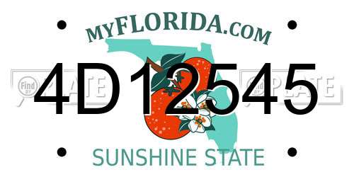 4D12545 Florida License Plate