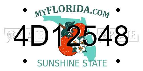 4D12548 Florida License Plate
