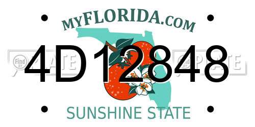4D12848 Florida License Plate