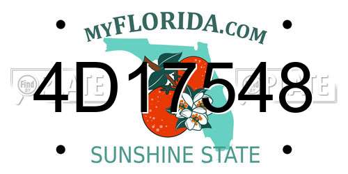 4D17548 Florida License Plate