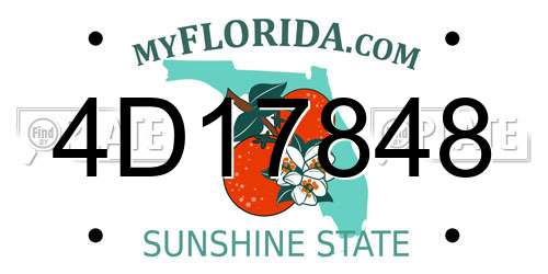 4D17848 Florida License Plate