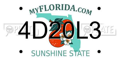 4D20L3 Florida License Plate
