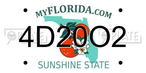 4D20O2 Florida License Plate
