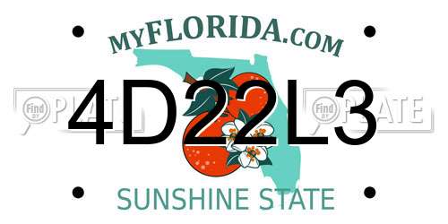 4D22L3 Florida License Plate