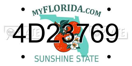 4D23769 Florida License Plate