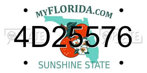 4D25576 Florida License Plate