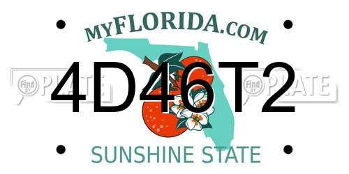 4D46T2 Florida License Plate