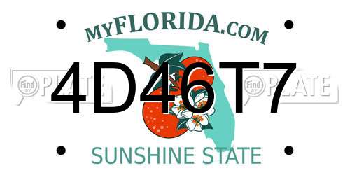 4D46T7 Florida License Plate