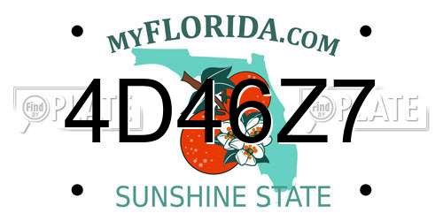 4D46Z7 Florida License Plate