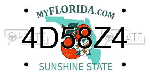 4D58Z4 Florida License Plate
