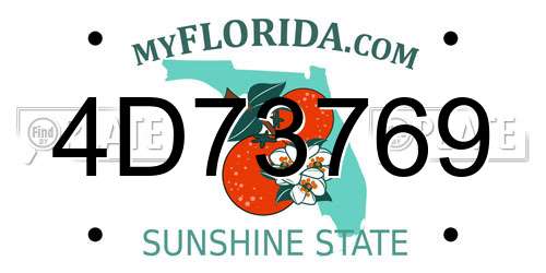 4D73769 Florida License Plate
