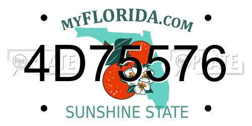 4D75576 Florida License Plate