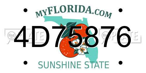 4D75876 Florida License Plate