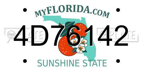 4D76142 Florida License Plate