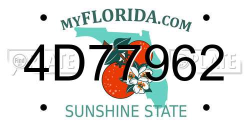 4D77962 Florida License Plate