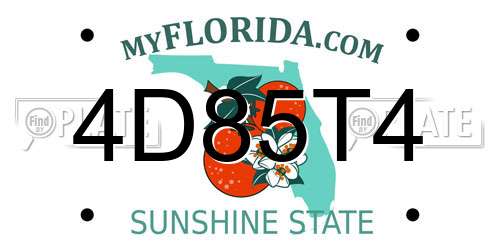 4D85T4 Florida License Plate