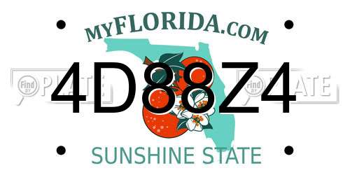 4D88Z4 Florida License Plate