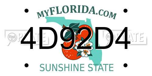4D92D4 Florida License Plate