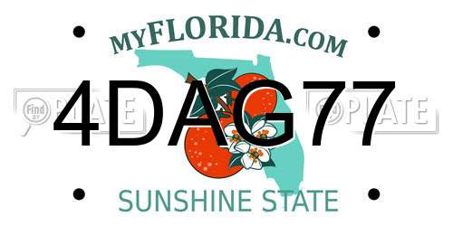 4DAG77 Florida License Plate