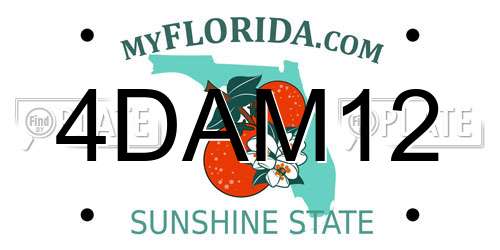 4DAM12 Florida License Plate