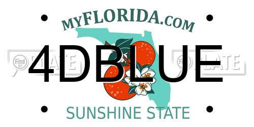 4DBLUE Florida License Plate