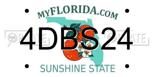4DBS24 Florida License Plate