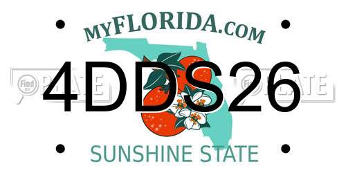 4DDS26 Florida License Plate