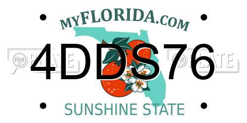 4DDS76 Florida License Plate