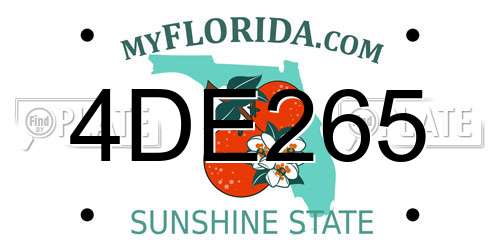 4DE265 Florida License Plate