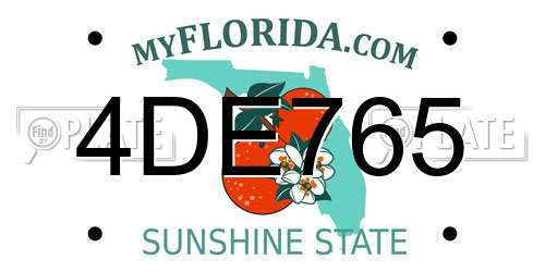4DE765 Florida License Plate