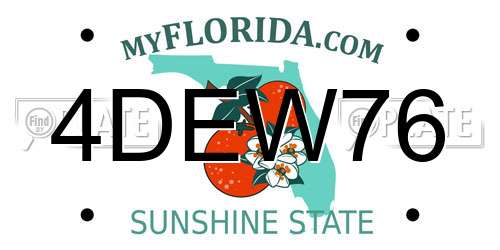 4DEW76 Florida License Plate