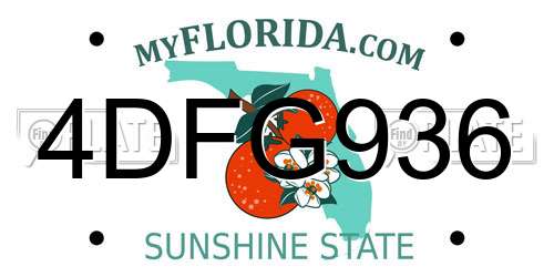 4DFG936 Florida License Plate