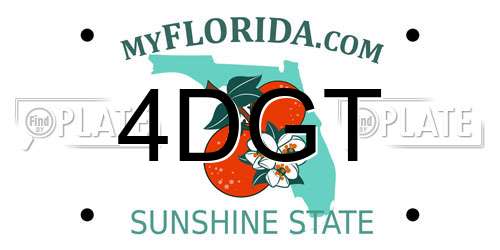 4DGT Florida License Plate