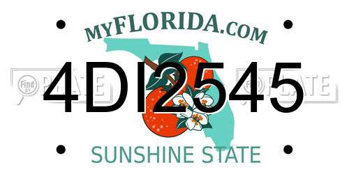 4DI2545 Florida License Plate