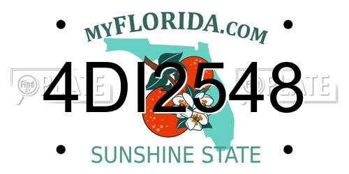 4DI2548 Florida License Plate