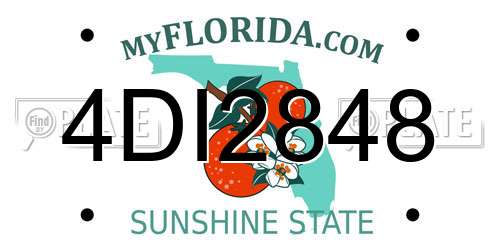 4DI2848 Florida License Plate