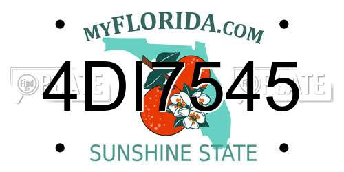 4DI7545 Florida License Plate