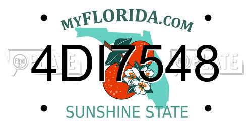 4DI7548 Florida License Plate
