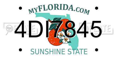 4DI7845 Florida License Plate