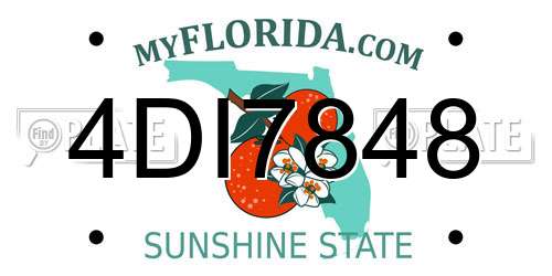 4DI7848 Florida License Plate